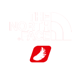 The North Face - Puch gęsi 