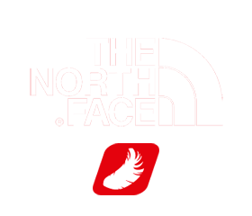 The North Face - Puch gęsi 